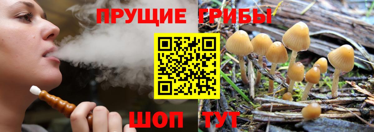 Псилоцибиновые грибы Magic Shrooms Электросталь